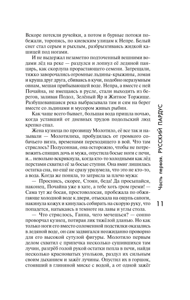 Sviatoslavas. Brandinimasis