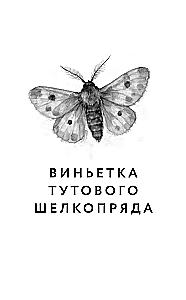 Collection of 3 books by Katya Kachur: Entomology for the Faint of Heart. A Drop of Perfume in an Open Wound. Bile Angel
