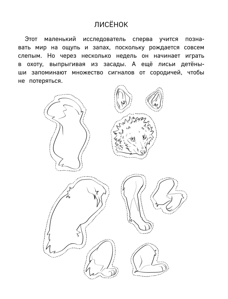Бумажный лес. Осенние приключения. Вырежи, раскрась, играй. 12 готовых схем