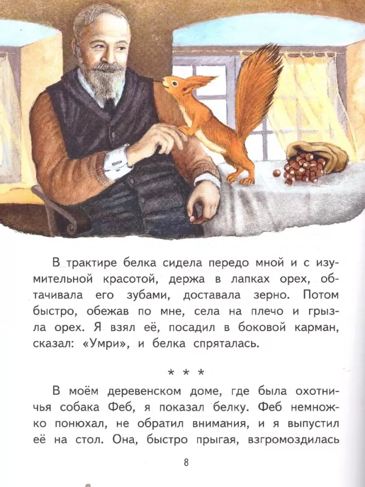 Squirrel. Story