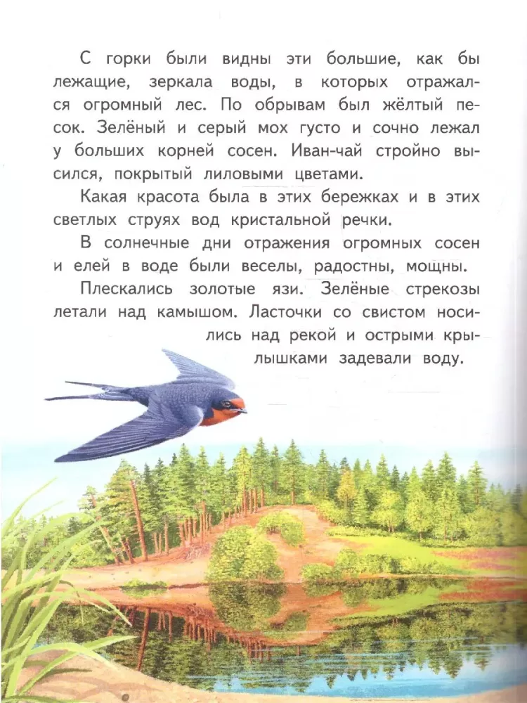 Squirrel. Story