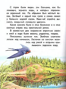 Squirrel. Story
