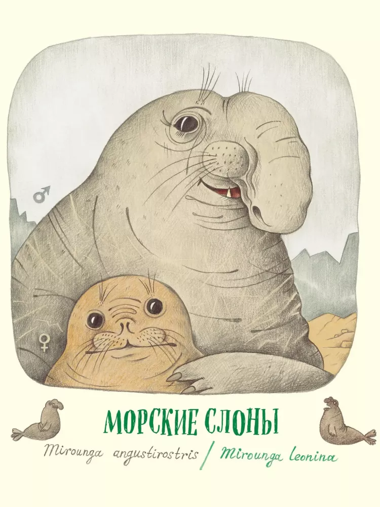 Neįtikėtini nosys