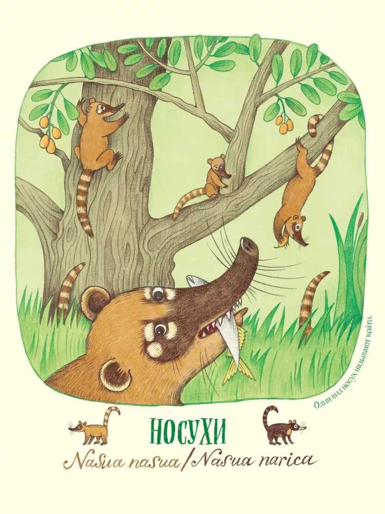 Neįtikėtini nosys