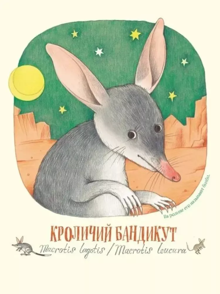 Neįtikėtini nosys
