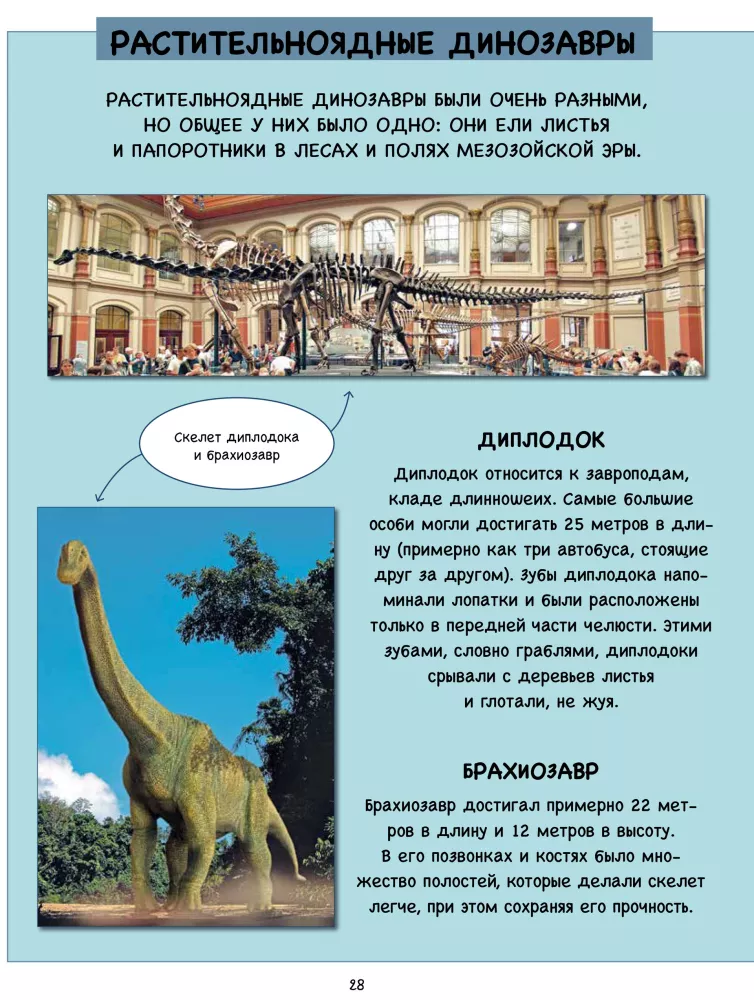 Rabta. Dinozauras, kuris norėjo skristi