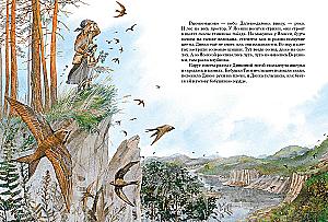 Die Leichten Berge