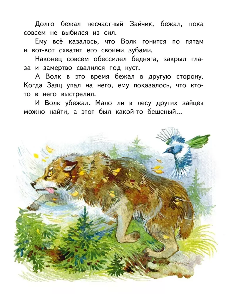 The Tale of the Brave Rabbit - Long Ears, Slanted Eyes, Short Tail