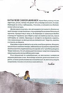 Balaenai ir mes