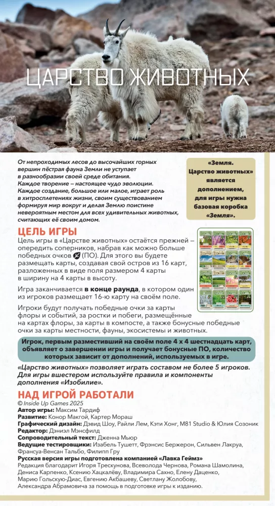 Board Game - Earth. Animal Kingdom