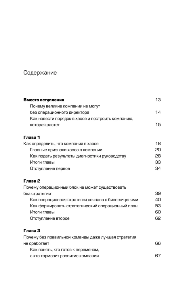 Suur teine. 8 sammu tegevjuhi teekonnal idufirmast korporatsiooniks