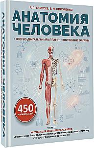 Human Anatomy. Locomotor System, Internal Organs