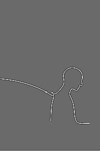 Flexibility as a Way of Life. A Practical Guide to Adaptability