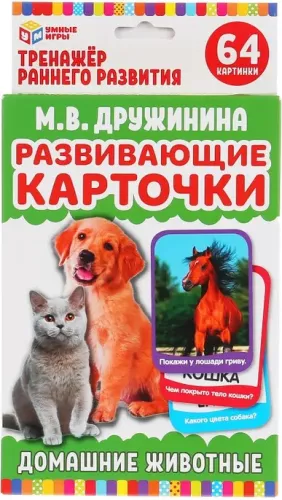 Educational Cards - Domestic Animals