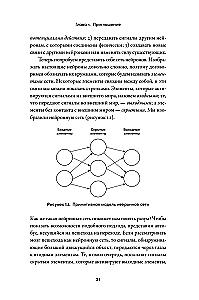 The Birth of Reason. How Intelligence Arises in Humans and Neural Networks