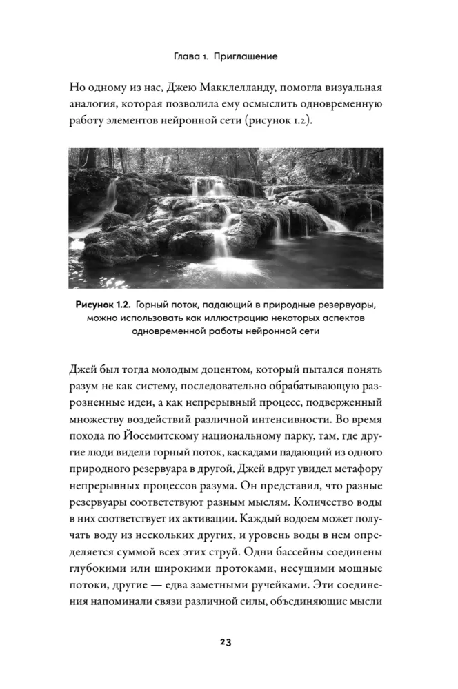 The Birth of Reason. How Intelligence Arises in Humans and Neural Networks