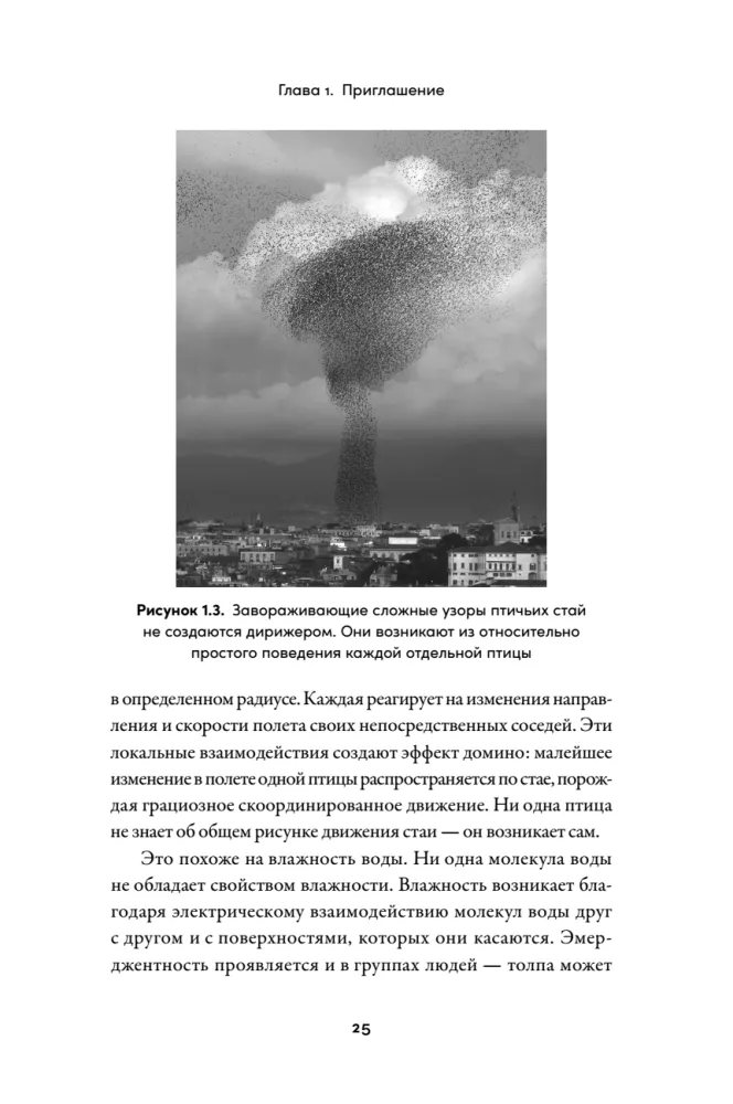 The Birth of Reason. How Intelligence Arises in Humans and Neural Networks