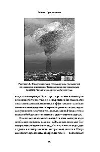 The Birth of Reason. How Intelligence Arises in Humans and Neural Networks