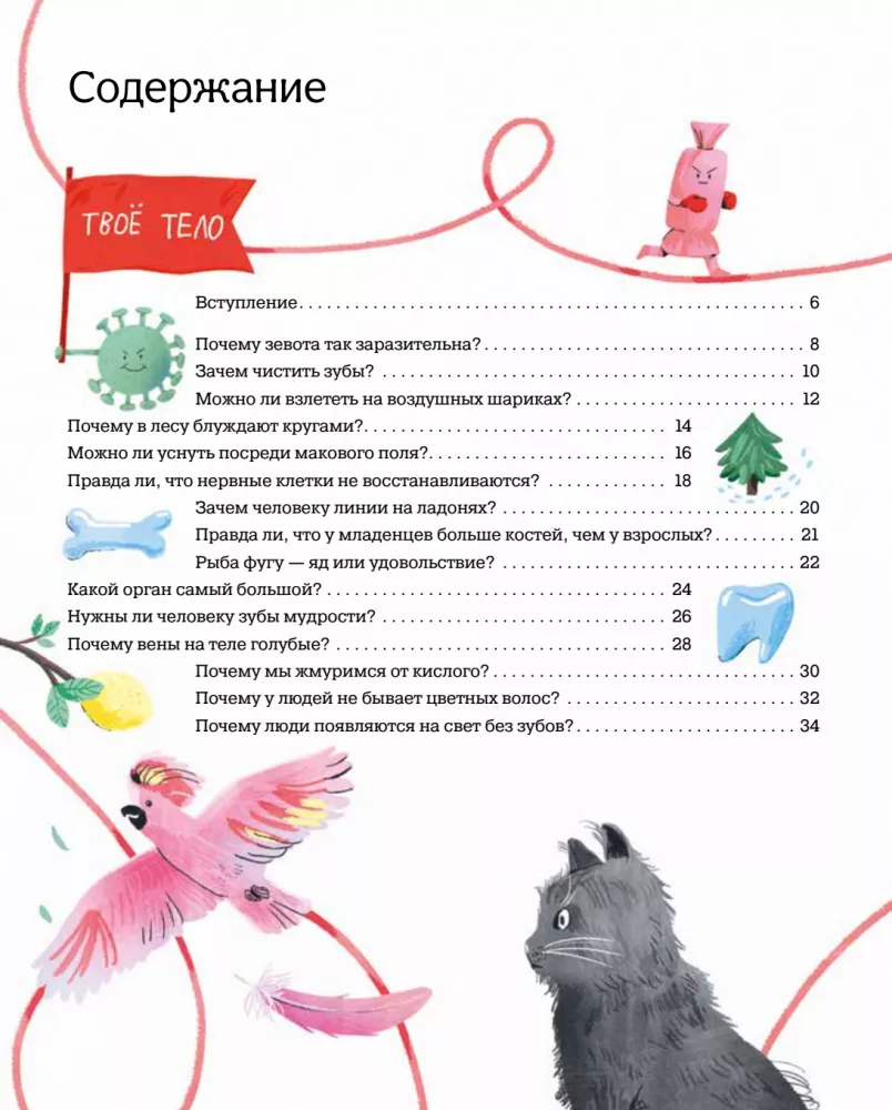 The Human Body. 35 Answers to Children's Questions about How the Body Works