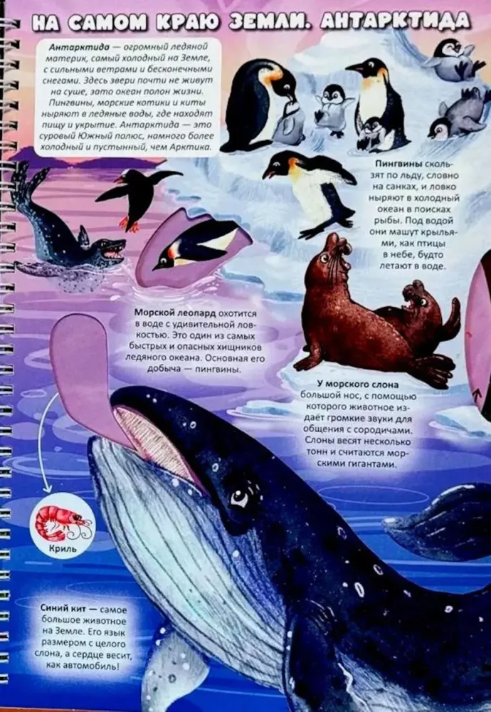 Zemes atlants. Dzīvnieki