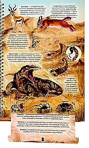 Zemes atlants. Dzīvnieki