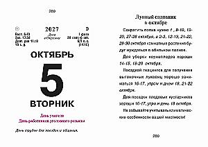 Atrodomas kalendorius 2027 metams - Patarimai kiekvienai dienai