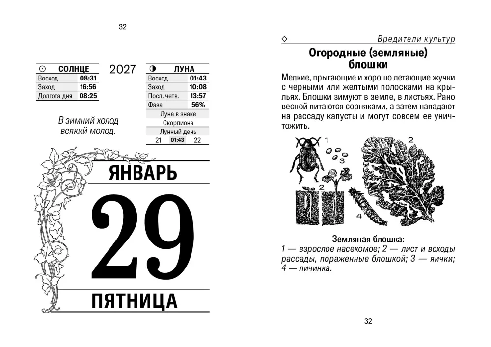 Atvira kalendorius 2027 metai - Mūsų sodyba