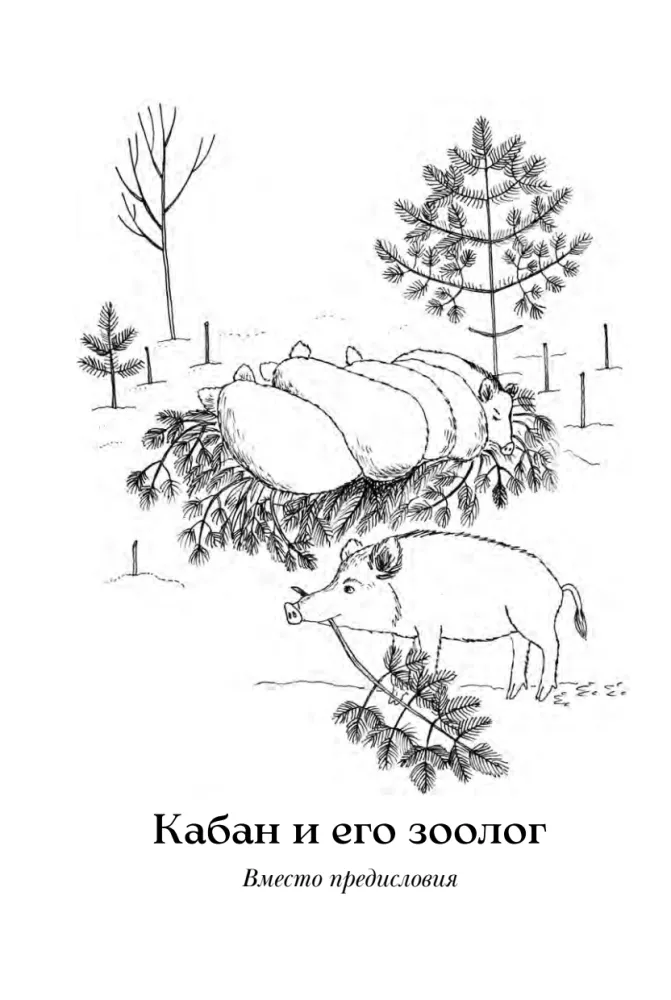 Boar's Nest. Stories from the Reserve