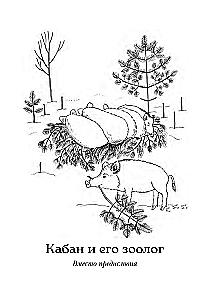 Boar's Nest. Stories from the Reserve