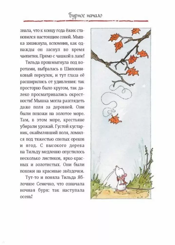 Тильда Яблочное Семечко. Чудесные истории из переулка, где растет шиповник