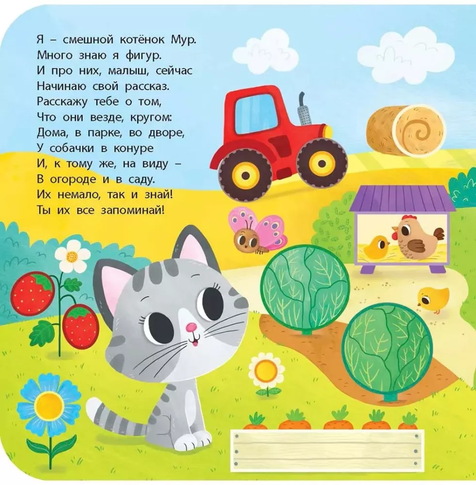 Kitten Mur in the Land of Shapes