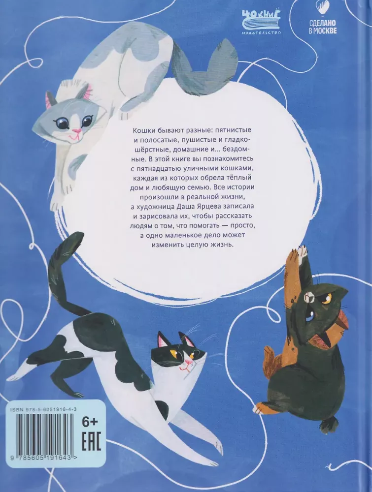 Katze Dossier