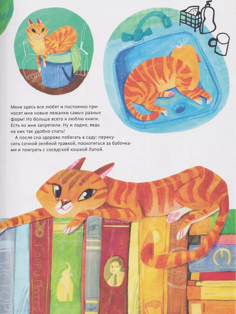 Katze Dossier