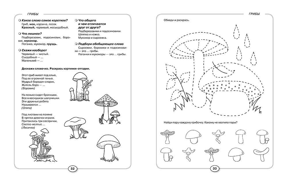 Development of Speech and Cognitive Abilities in Preschoolers Aged 4-5 Years
