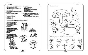 Development of Speech and Cognitive Abilities in Preschoolers Aged 4-5 Years