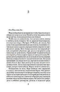 The Secret of the Virgin Mary. The Secret of the Stolen Map