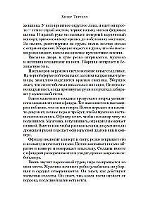The Secret of the Virgin Mary. The Secret of the Stolen Map