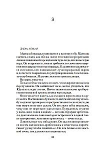 The Secret of the Virgin Mary. The Secret of the Stolen Map