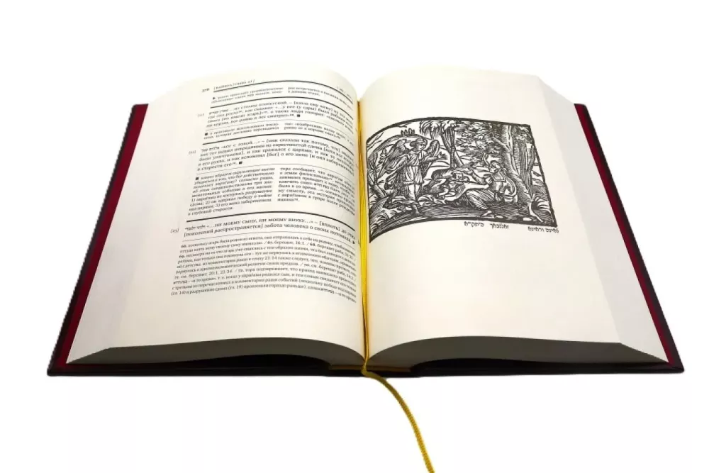 Die Tora mit dem Kommentar von Rashi in 5 Büchern (Set)