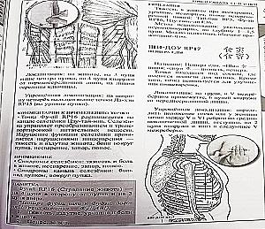 Theory and practice of classical Chinese medicine. Volume 2. Guide to acupuncture and moxibustion