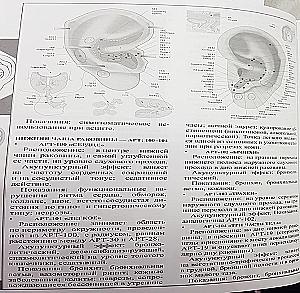 Theory and practice of classical Chinese medicine. Volume 2. Guide to acupuncture and moxibustion