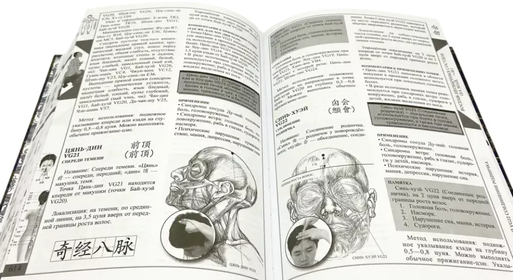 Theory and practice of classical Chinese medicine. Volume 2. Guide to acupuncture and moxibustion