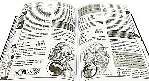 Theory and practice of classical Chinese medicine. Volume 2. Guide to acupuncture and moxibustion