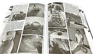 Theory and practice of classical Chinese medicine. Volume 2. Guide to acupuncture and moxibustion