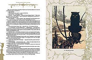 The Best Tales of Cats and Kittens