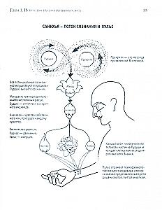 Pulse Diagnosis
