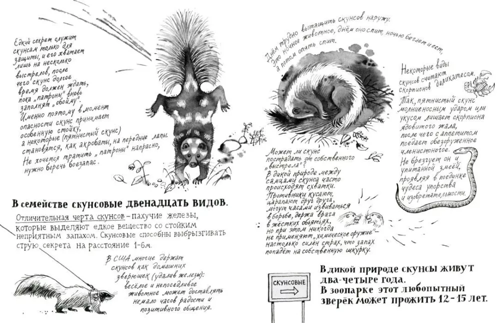 Człowiek z zoo