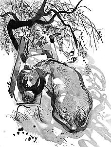 Człowiek z zoo