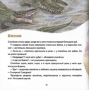 Słoń-synek