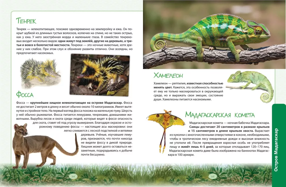 Animals. The Great Expedition Around the World